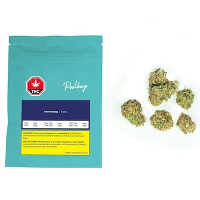 Poolboy - Chem Dawg - Indica- 3.5g