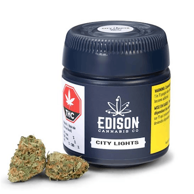 City Lights - Organigram Inc. - City Lights 7g Dried Flower