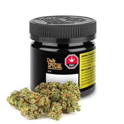 Daily Special Sativa Ounce - Aurora - Daily Special Sativa 28 g Dried Flower