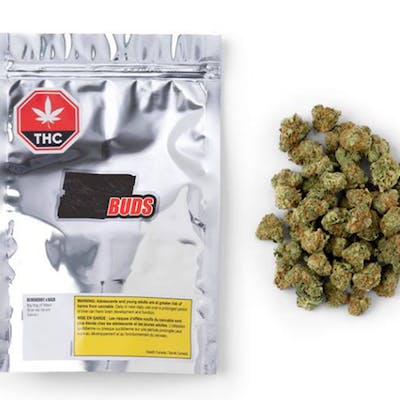 Buds Sativa Ounce - Buds 28 g Dried Flower