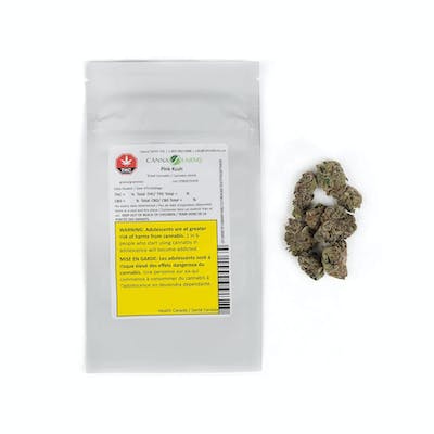 BC Pink Kush - Canna Farms - Pink Kush (High THC) 3.5g dried flower