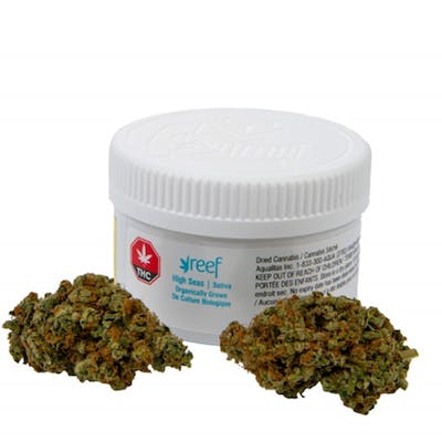 High Seas- Reef - High Seas 3.5 g Dried Flower