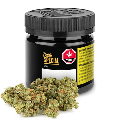 Daily Special Sativa - Aurora - Daily Special Sativa 7 g Dried Flower