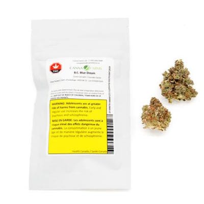 BC Blue Dream - Canna Farms - Blue Dream (High THC) 3.5g Dried Flower