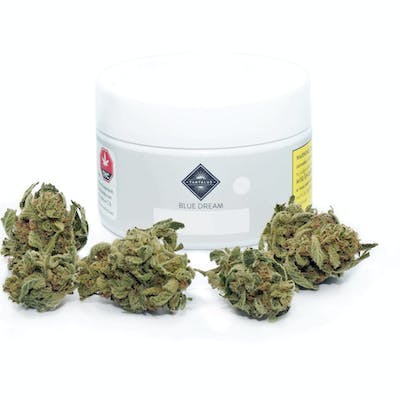 Blue Dream - Tantalus - Blue Dream 15 g Dried Flower