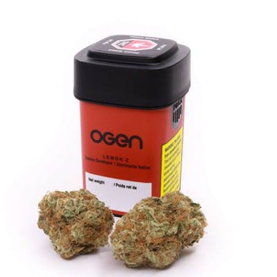 Lemon Z - OGEN - Lemon Z 3.5g Dried Flower