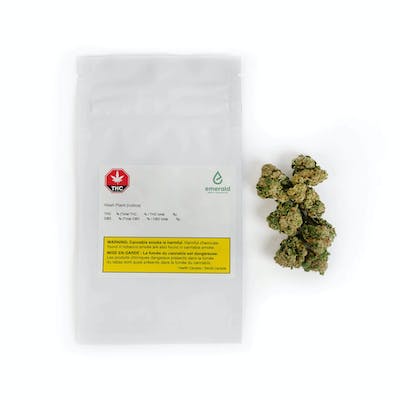 Emerald Health - Hash Plant - Hash Plant (Indica) Dried Cannabis 3.5g