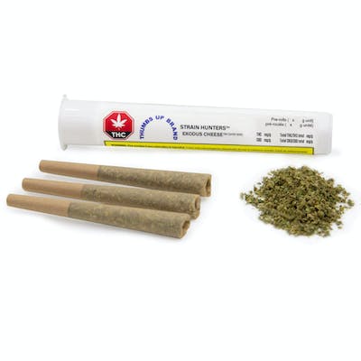 Exodus Cheese 3x0.5 g Pre-Rolls - Thumbs Up - Exodus Cheese 3 x 0.5 g Pre-Rolls