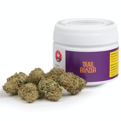 Flicker Buds - Trailblazer - Flicker Buds 7 g Dried Flower