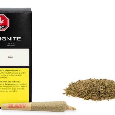 Crescendo Pre-Roll - IGNITE - Crescendo 0.5 g Pre-Roll