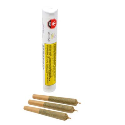 Cindy Jack - Weed Me - Cindy Jack 3 x 0.5 g Pre-rolls