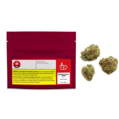 Northern Berry - UP - Northern Berry UP20 3.5 g Dried Flower