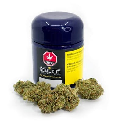 Orange Hill Special - Royal City - RC Orange Hill Special 3.5 g Dried Flower