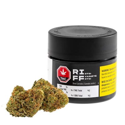 DT81 - Riff - DT81 3.5 g Dried Flower