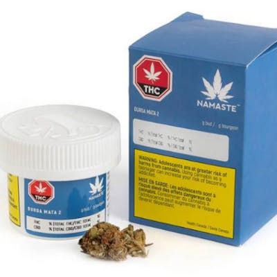 Durga Mata 2 - Zenabis Ltd - Durga Mata 2 7g dried flower