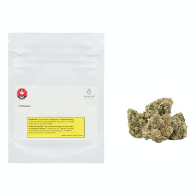 Jack The Ripper - Emerald Health - JTR (Sativa) 7 g Dried Flower