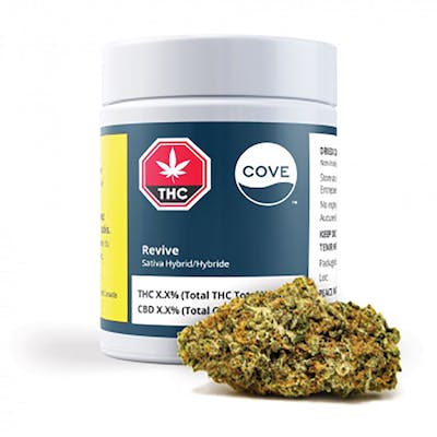 Revive Reserve - COVE - Revive Reserve 3.5g Dried Flower