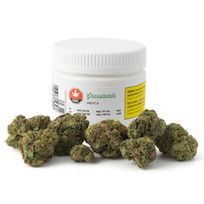 Grasslands Indica Ounce - Sundial - Grasslands Indica 28 g Dried Flower