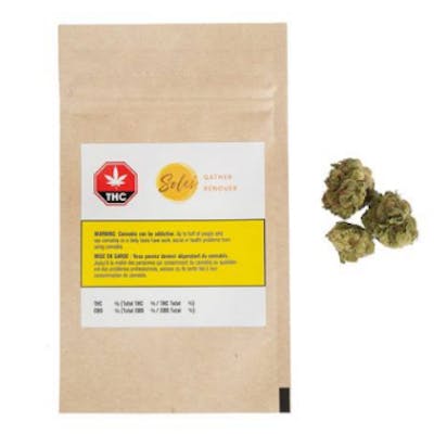 Gather - Aphria - Gather 3.5g Dried Flower