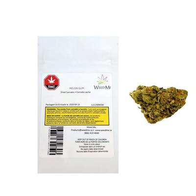 Melon Gum - Weed Me - Melon Gum 3.5 g Dried Flower