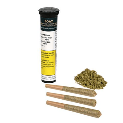 Platinum Gelatto PreRolls- Boaz - Platinum Gelato 3 x 0.5 g Pre-rolls