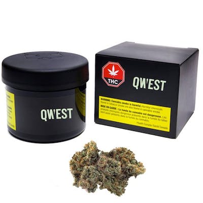 Pineapple Upside Down Cake - Qwest - Pineapple Cake 3.5 g Dried Flower