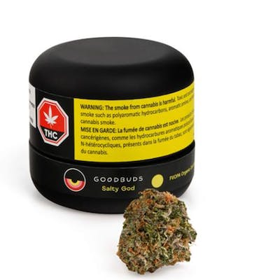 Salty God - Good Buds - Salty God 3.5 g Dried Flower