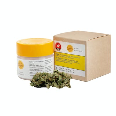 Renew - Aphria - Renew 7 g Dried Flower