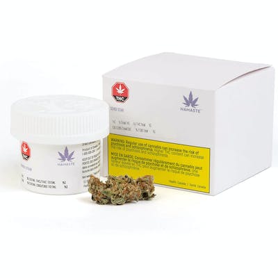 Sensi Star - Zenabis - Sensi Star 1g Dried flower