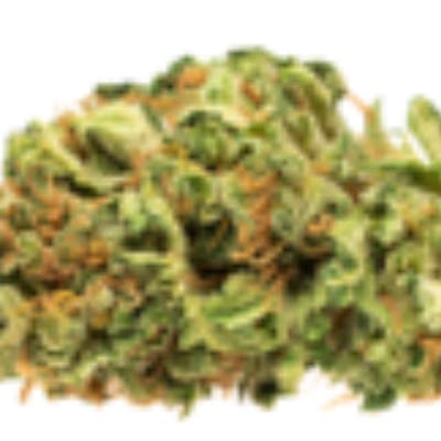 Select - Ghost Train Haze - High Park Farms Ltd. - Ghost Train Haze 3.5g Dried Flower