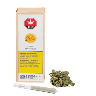 Renew Pre-Rolls - Solei - Renew 3 x 0.33 g Pre-rolls