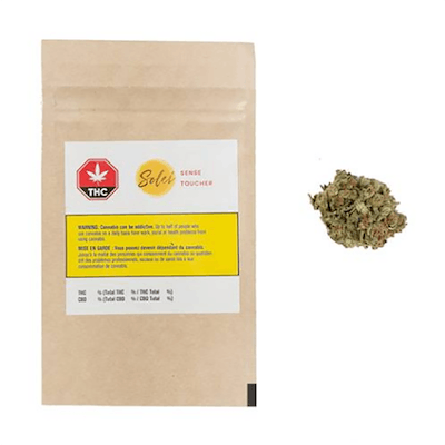 Sense - Aphria - Sense 1g Dried Flower