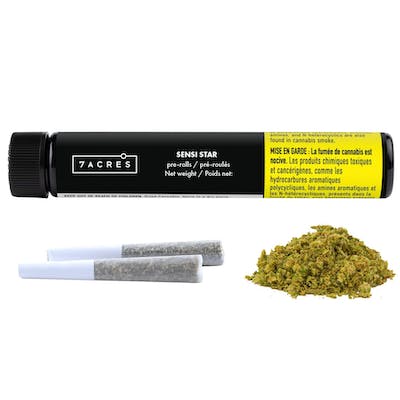 Sensi Star Pre-Rolls - 7ACRES - Sensi Star 2 x 0.5 g Pre-Roll