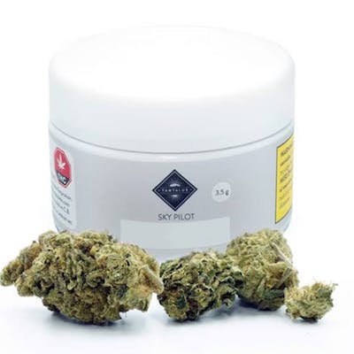 Sky Pilot - Tantalus - Sky Pilot 3.5 g Dried Flower