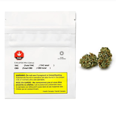 Critical Kali Mist - Pure Sunfarms - Critical Kali Mist 3.5 g Dried Flower