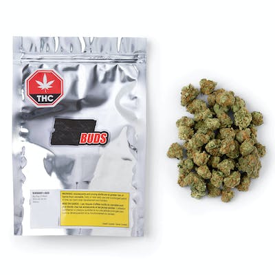 Organigram Buds Sativa 1x28.0g - Sativa 28 g Dried Flower