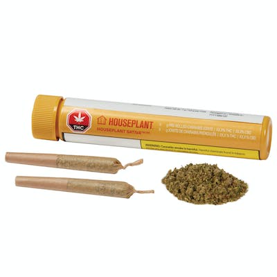 Houseplant Sativa - 2x0.5g - Houseplant Sativa 2 x 0.5 g Pre-Roll