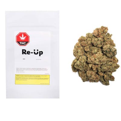 Re-Up Sativa Ounce - Sativa 28 g Dried Flower