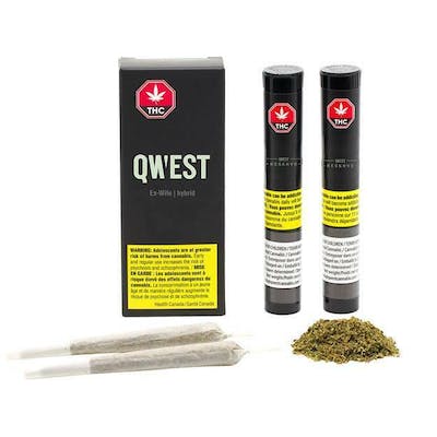 Ex-Wife - Qwest - 2 x 0.5g Pre-Rolls