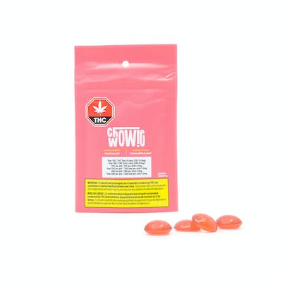 Chowie Wowie - Watermelon Gummies x 4