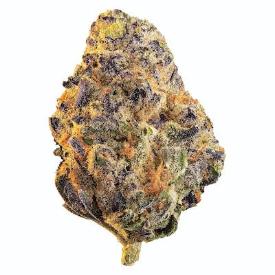 EDISON - Black Cherry Punch 1g Dried Flower