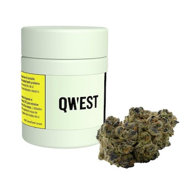 Qwest - Stuffed French Toast 3.5g Dried Flower