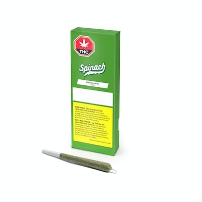 GMO Cookies 1 x 1g Pre-Roll - SPINACH
