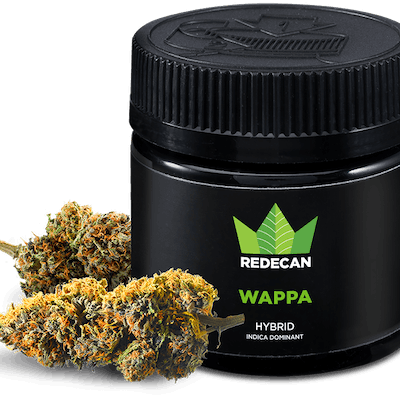 Wappa 3.5 g - REDECAN