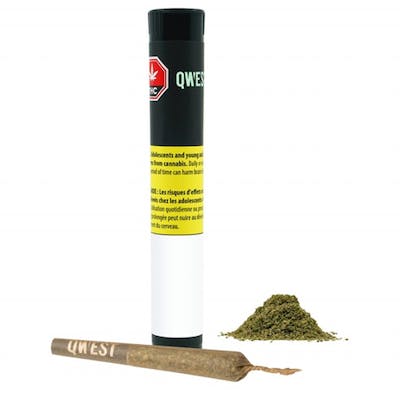 Qwest - Sour Tangie Diamond Infused Pre-Roll (3 x 0.5g)