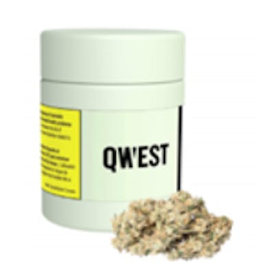 Qwest - Banana OG