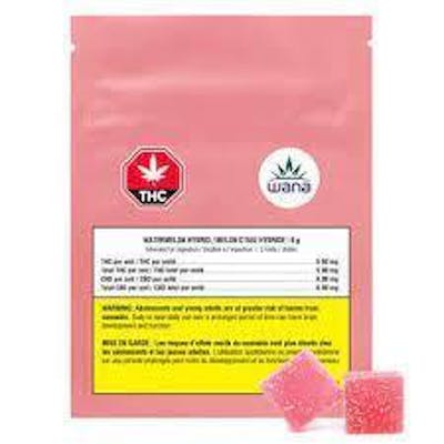 Watermelon Hybrid Soft Chews