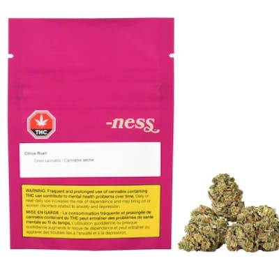 Ness - Citrus Rush 3.5g