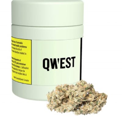 Qwest - Papaya Cake 7.0g