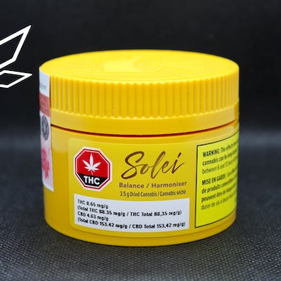 Solei Balance Dried Flower 3.5g